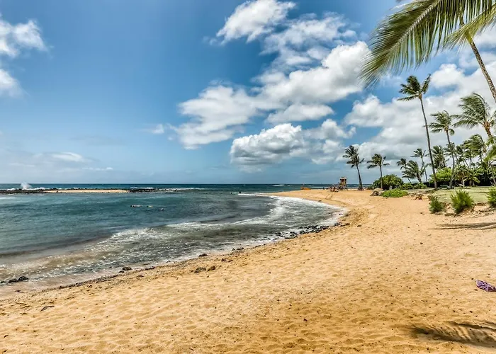 Manualoha 203