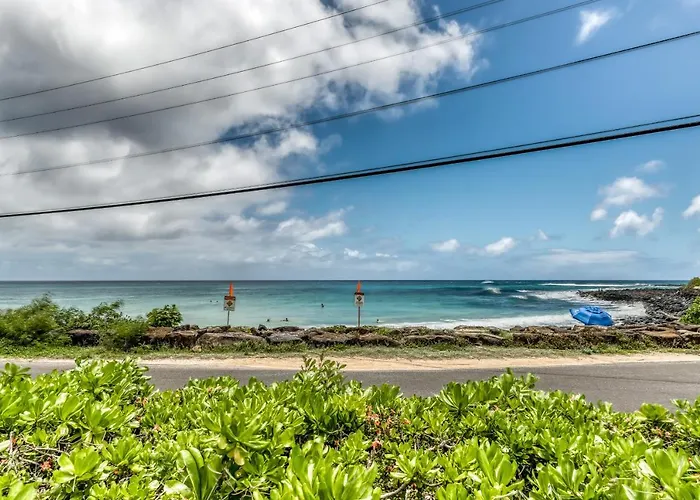 Manualoha 203