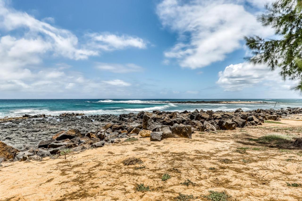 Manualoha 203 *