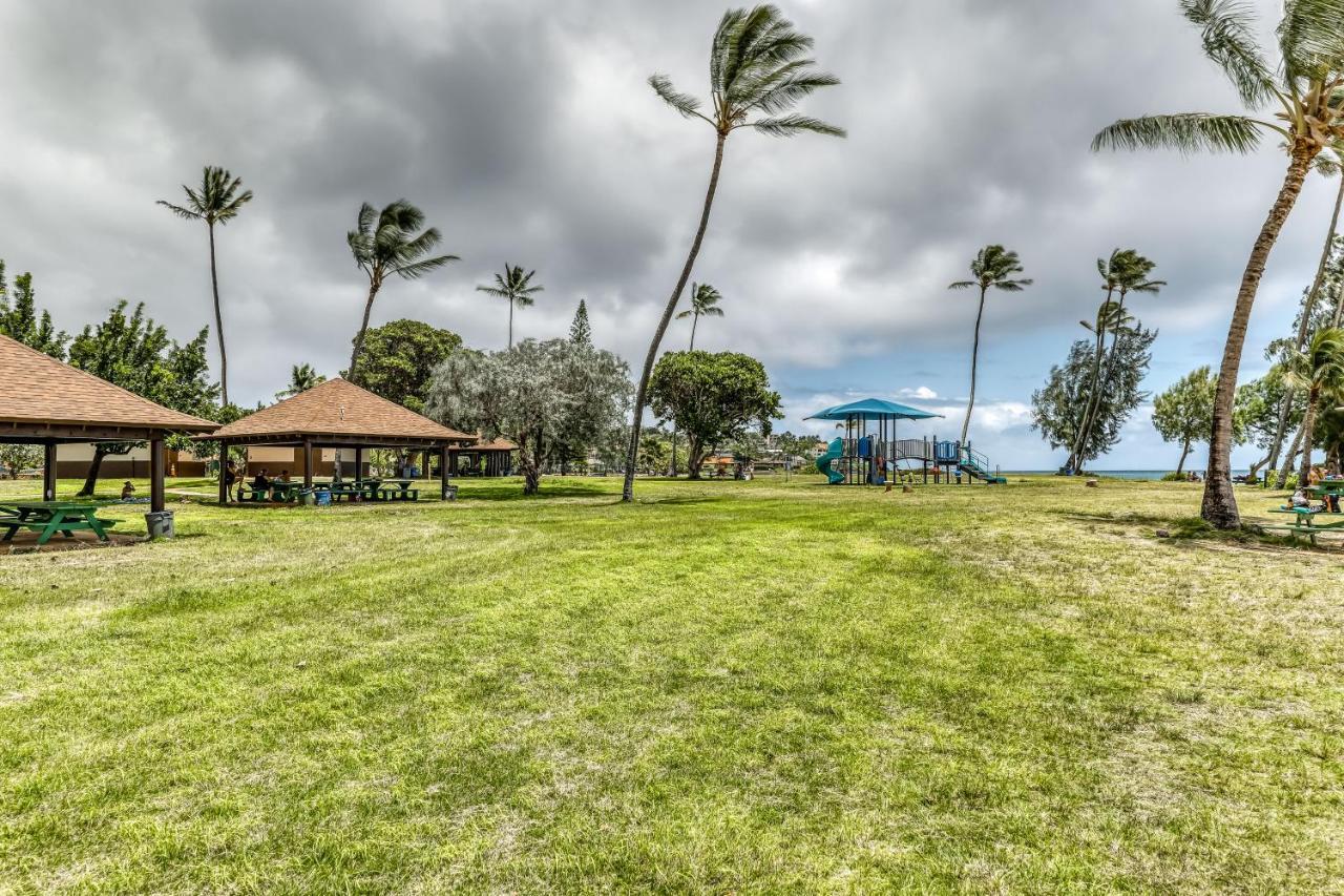 Manualoha 203 *